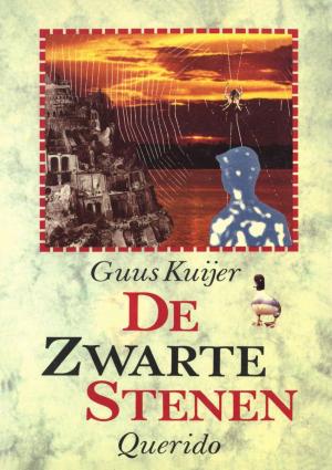 Cover of the book De zwarte stenen by Rob Ruggenberg