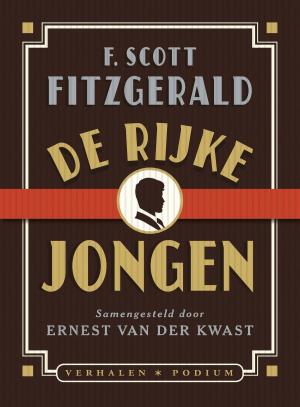 Cover of the book De rijke jongen by Dorthe Nors