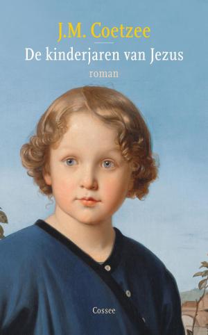 Cover of the book De kinderjaren van Jezus by Bregje Hofstede