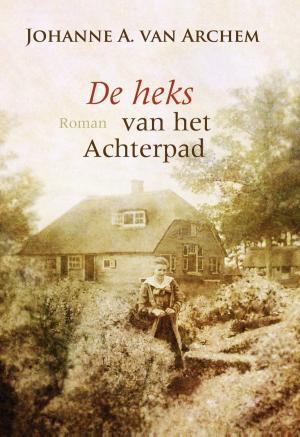 Cover of the book De heks van het achterpad by R.J. Ellory