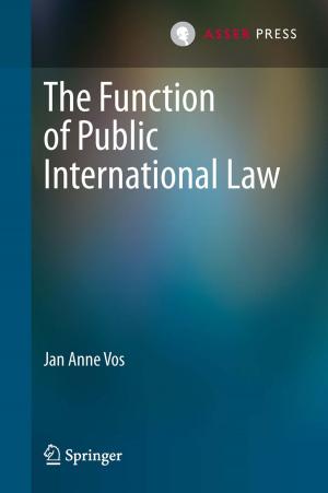 Cover of the book The Function of Public International Law by Stephen Weatherill