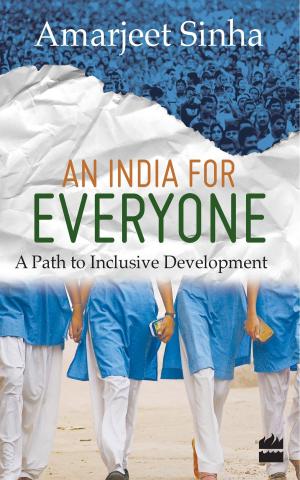 Cover of the book An India For Everyone : A Path To Inclusive Development by Bejan Daruwalla