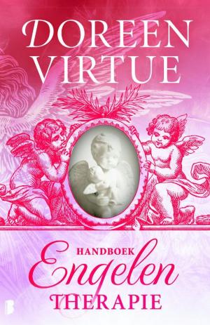 Book cover of Handboek engelentherapie