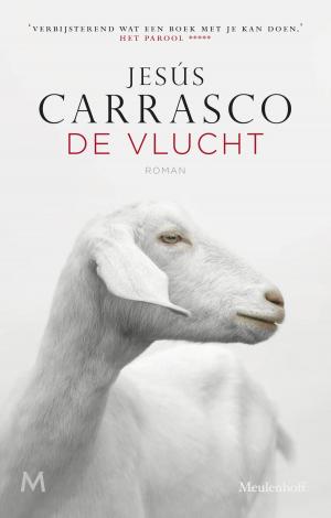 Cover of the book De vlucht by Benoîte Groult