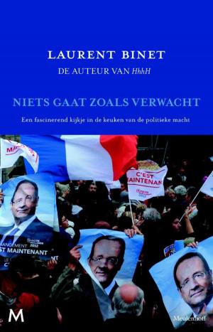 Cover of the book Niets gaat zoals verwacht by Doreen Virtue