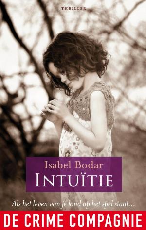 Cover of the book Intuitie by Linda Jansma