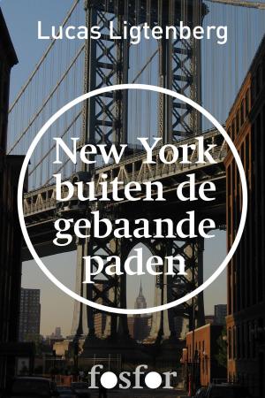Cover of the book New York buiten de gebaande paden by Jolien Janzing