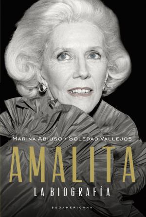 Cover of the book Amalita by Jorge Asis