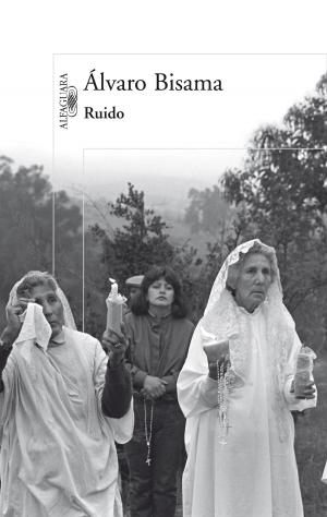 Cover of the book Ruido by Sebastian Lia