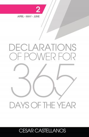 Book cover of Declarations of Power For 365 Days of the Year