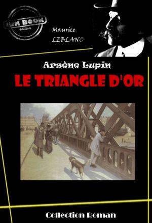 Cover of the book Le Triangle d'or by Arthur Bernède