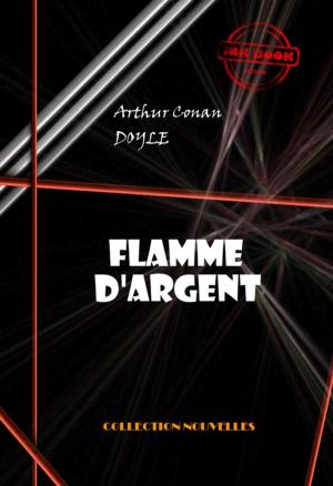 Cover of the book Flamme d'Argent by Allan  Kardec