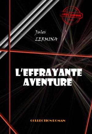 Book cover of L'effrayante aventure