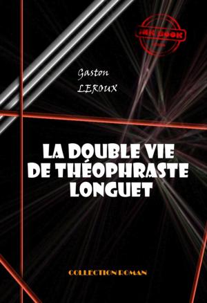 Cover of the book La double vie de Théophraste Longuet by Edwin A. Abbott