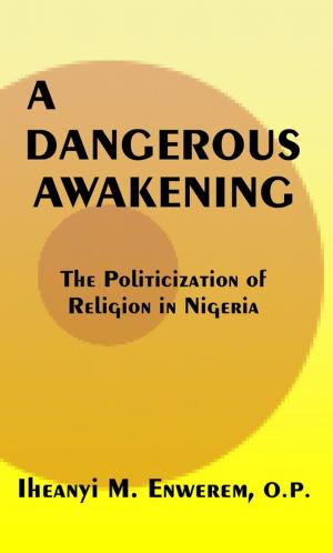 Cover of A Dangerous Awakening