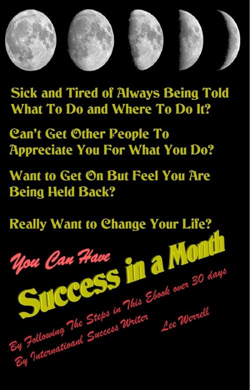 Cover of the book Success In A Month by Lee Werrell, CEI Compliance