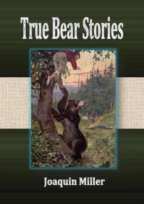 Cover of the book True Bear Stories by Joaquin Miller, cbook