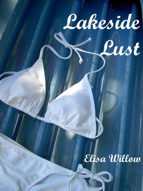 Cover of the book Lakeside Lust (Rough Sex) by Elisa Willow, Elisa Willow