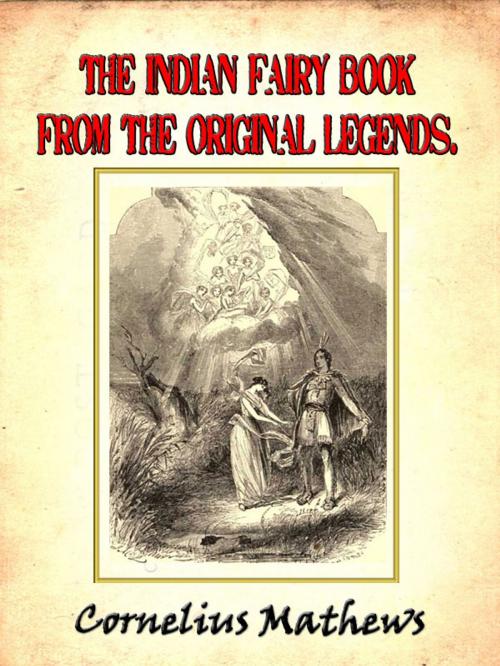 Cover of the book The Indian Fairy Book: From the Original Legends by Cornelius Mathews (Illustrated) by Cornelius Mathews, Illustrated by John McLenan, Engraved by A. V. S. Anthony, Siber