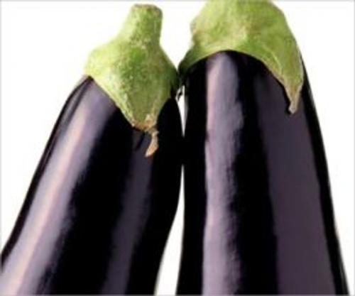 Cover of the book A Crash Course on How to Grow Eggplants by Carmen Casey, Axel Publishing