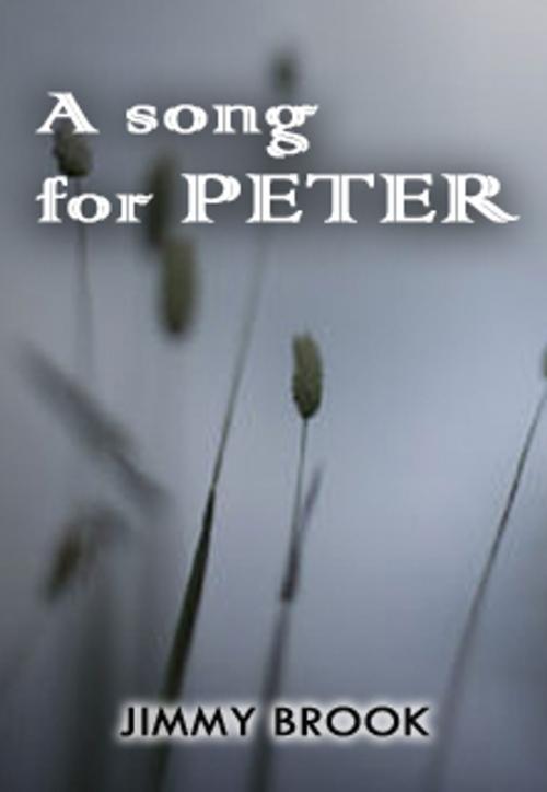 Cover of the book A song for peter by vince, vince