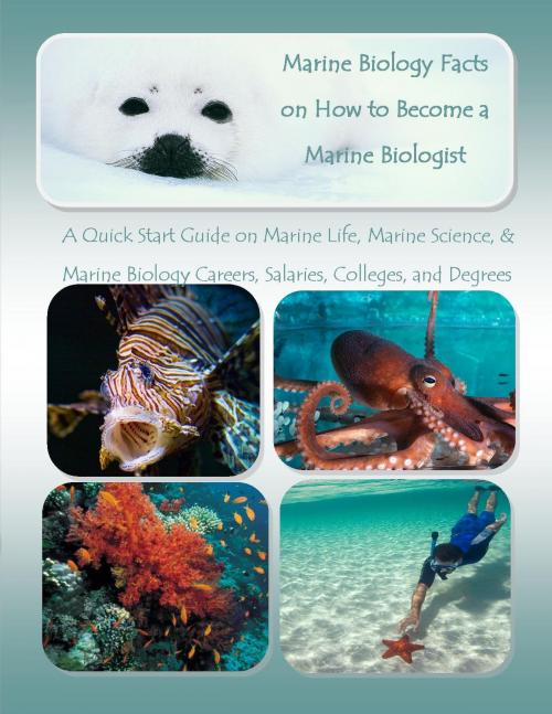 Cover of the book Marine Biology Facts on How to Become a Marine Biologist by Richard M. Stoddard, Ramsey Ponderosa Publishing