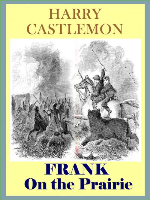Cover of the book FRANK On The Prairie by Harry Castlemon, T. M. Digital Publishing