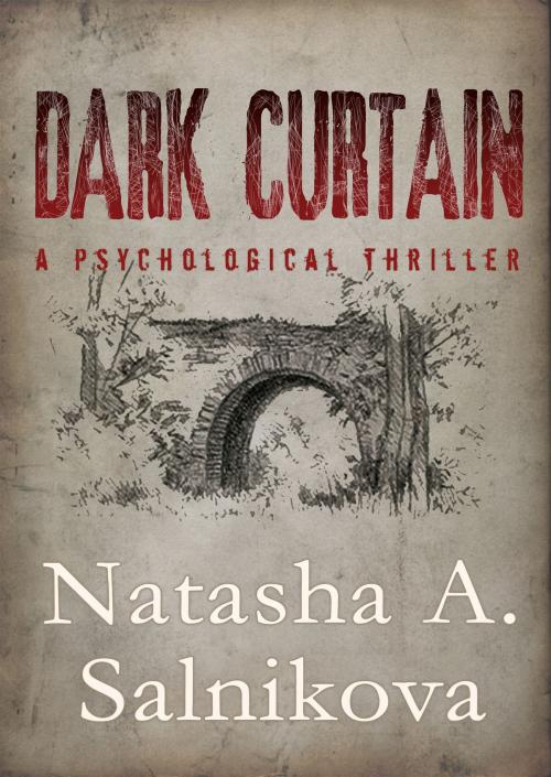 Cover of the book Dark curtain by Natasha A. Salnikova, NAS