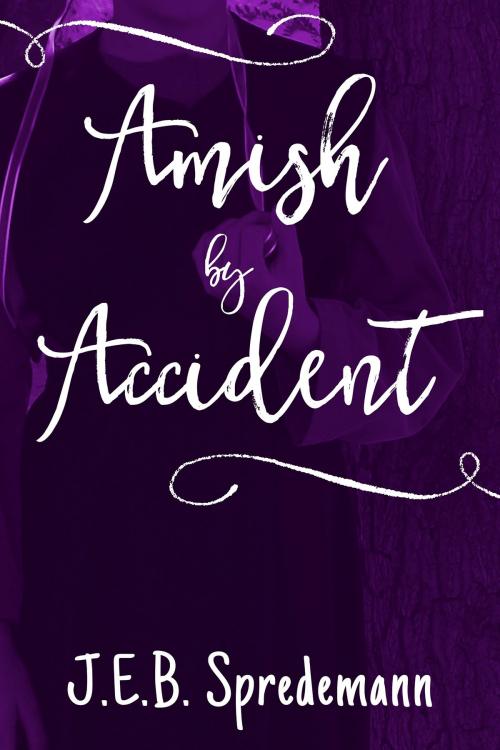 Cover of the book Amish by Accident by J.E.B. Spredemann, Blessed Publishing