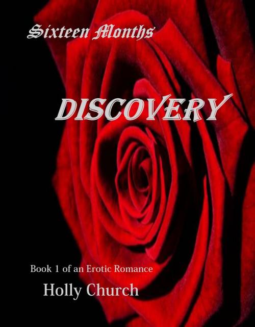 Cover of the book Discovery by Holly Church, Holly Church
