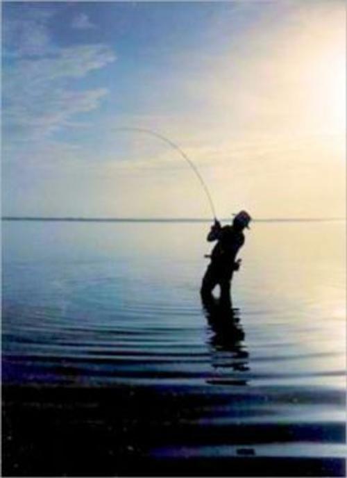 Cover of the book Adventure Fly Fishing: The Best Fly Fishing Spots In The World by Ed Kraisler, Axel Publishing