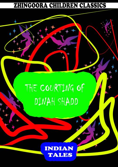 Cover of the book The Courting Of Dinah Shadd by Harry Stein, Zhingoora Books
