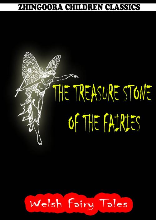 Cover of the book The Treasure Stone Of The Fairies by William Elliot Griffis, Zhingoora Books