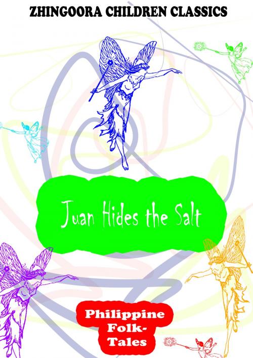 Cover of the book Juan Hides The Salt by Clara Kern Bayliss, Zhingoora Books