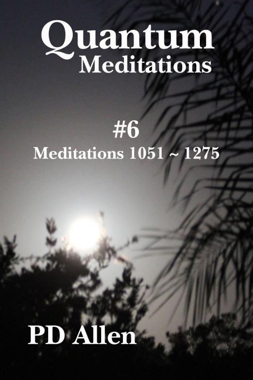Cover of the book Quantum Meditations #6 by PD Allen, Fiddlesticks Press