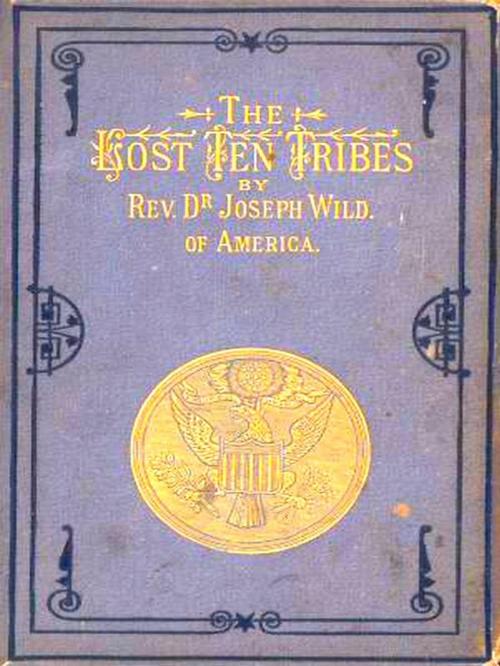 Cover of the book The Lost Ten Tribes 1882 by Joseph Wild, VolumesOfValue