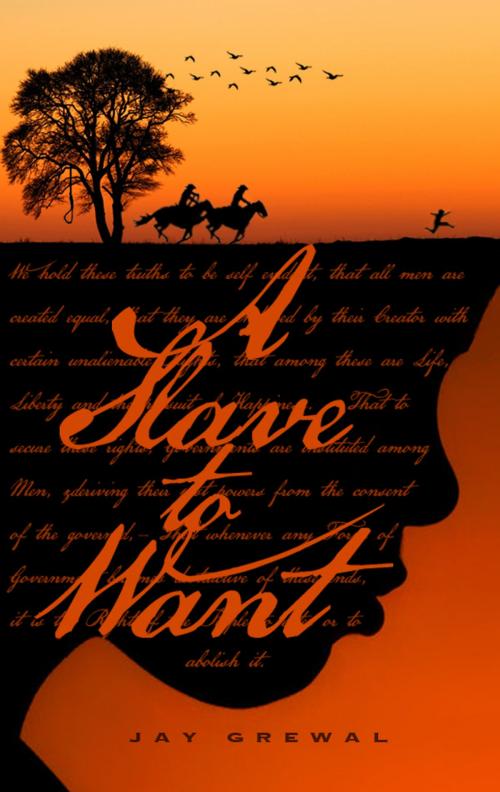 Cover of the book A Slave to Want by Jay Grewal, Jay Grewal