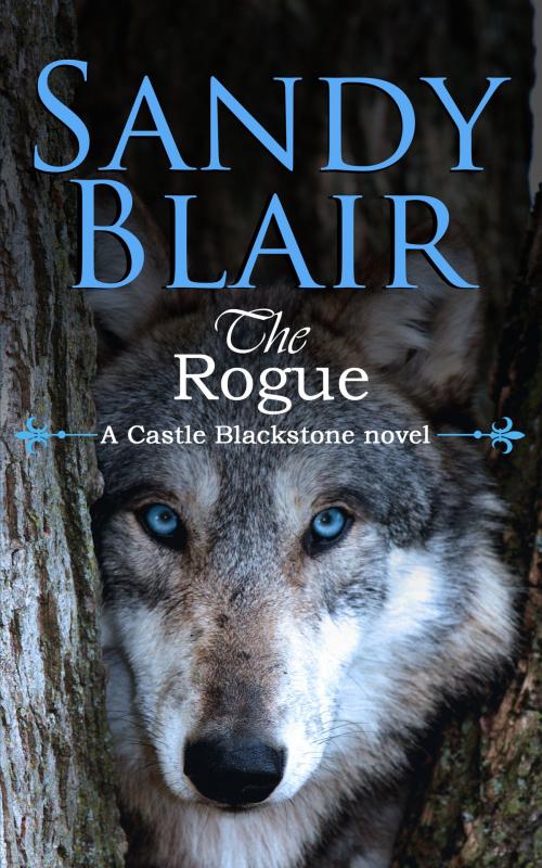 Cover of the book The Rogue by Sandy Blair, Winn-Hampton Press