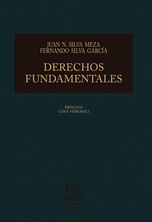 Cover of the book Derechos fundamentales: Bases para la reconstrucción de la jurisprudencia mexicana by Juan Nepomuceno Silva Meza, Fernando Silva García, Editorial Porrúa México