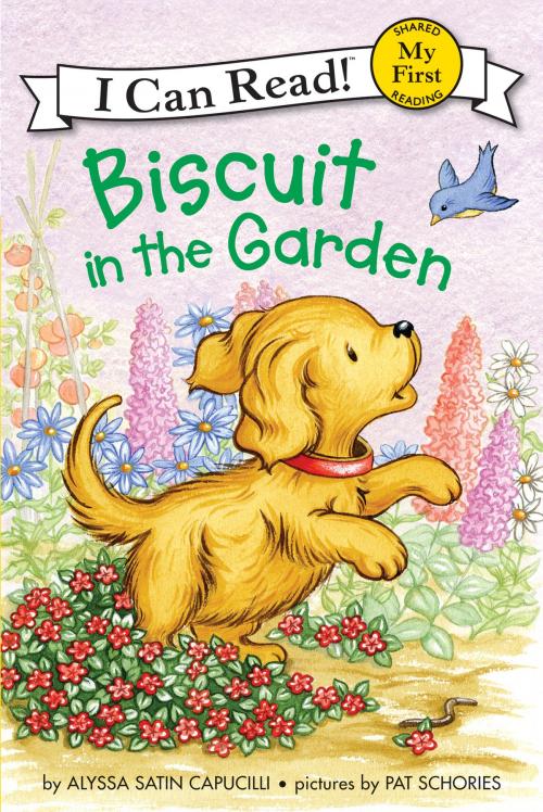 Cover of the book Biscuit in the Garden by Alyssa Satin Capucilli, HarperCollins