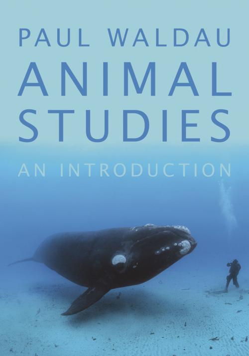 Cover of the book Animal Studies by Paul Waldau, Oxford University Press