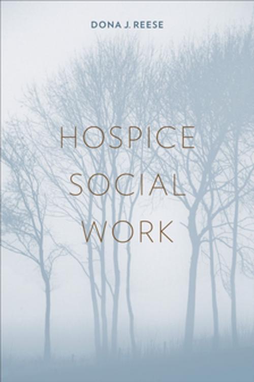 Cover of the book Hospice Social Work by Dona Reese, Columbia University Press