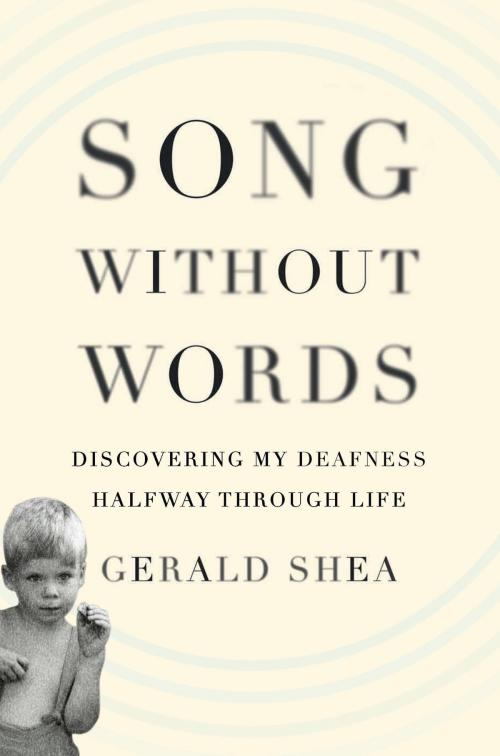 Cover of the book Song Without Words by Gerald Shea, Hachette Books