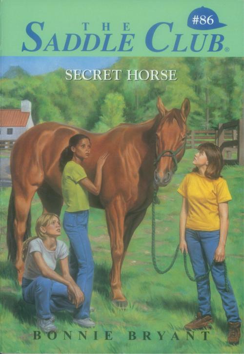 Cover of the book Secret Horse by Bonnie Bryant, Random House Children's Books