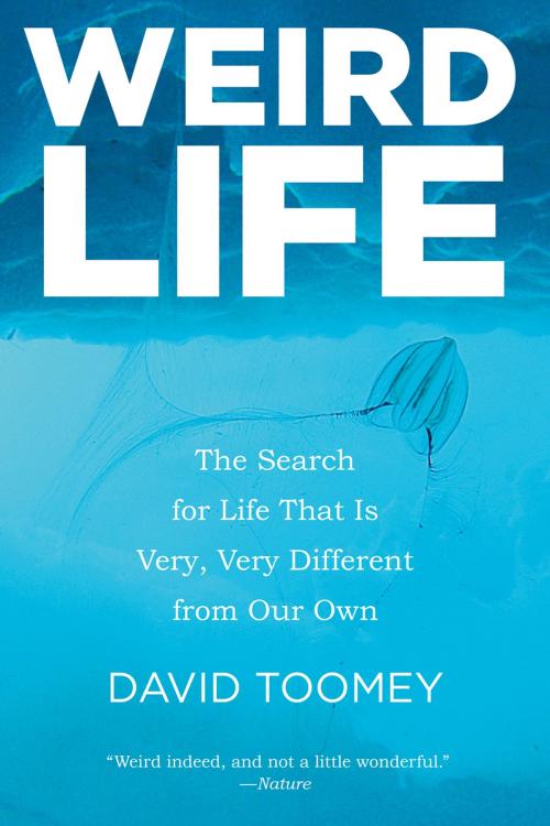 Cover of the book Weird Life: The Search for Life That Is Very, Very Different from Our Own by David Toomey, W. W. Norton & Company