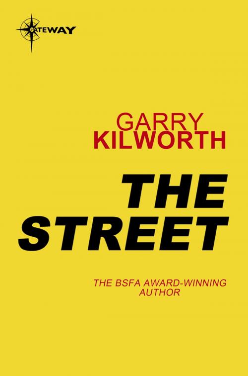 Cover of the book The Street by Garry Kilworth, Orion Publishing Group