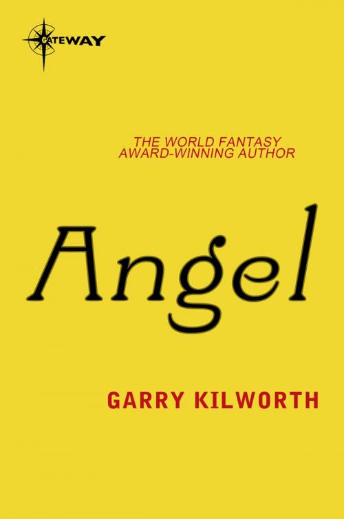 Cover of the book Angel by Garry Kilworth, Orion Publishing Group