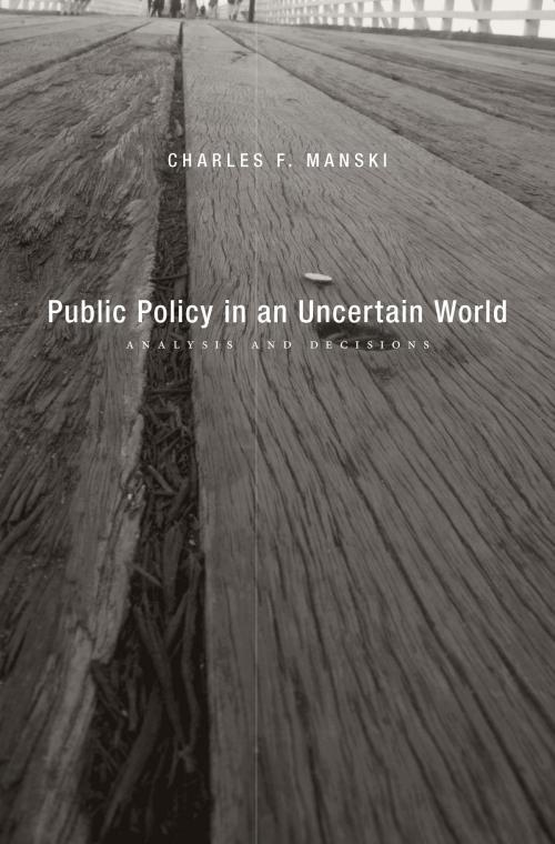 Cover of the book Public Policy in an Uncertain World by Charles F. Manski, Harvard University Press