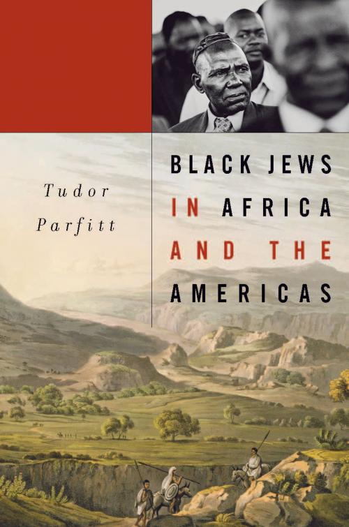 Cover of the book Black Jews in Africa and the Americas by Tudor Parfitt, Harvard University Press