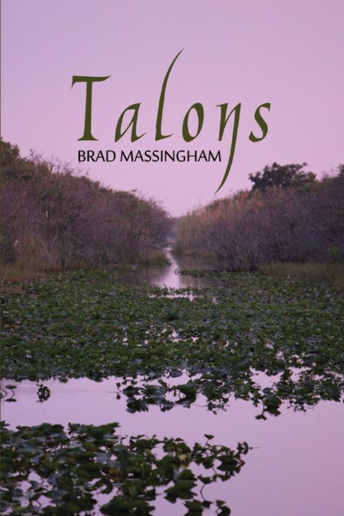 Cover of the book Talons by Brad Massingham, Infinity Publishing